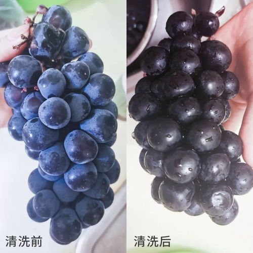 非常時期不要慌，做好這7道防護——非離子表面活性劑的安全應用指南